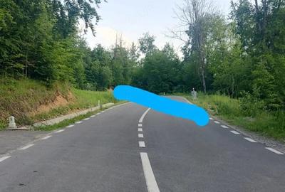 Teren de 9500 mp, în Zece Hotare - 1