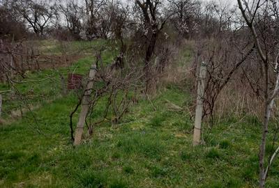 Teren Construcții intravilan de 2500 mp, în Dâmbu Pietros - 2