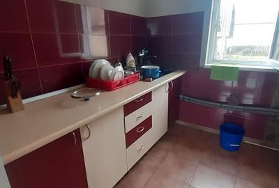 Casă cu Teren 500 Mp în Tăuții-Măgherăuș - 4