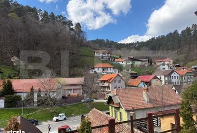 Casă cu 2 camere în Schei