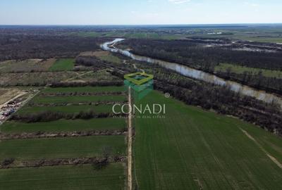 Teren Construcții intravilan de 102186 mp, în Central - 6