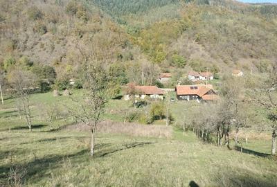 Teren de 3562 mp, în Vața de Sus - 1