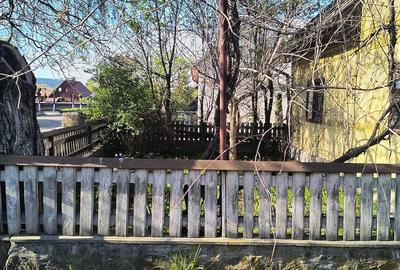 Casă cu Teren 1391 Mp în Putna - 5
