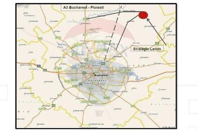 Teren agricol extravilan de 25.260000228882 mp, în Dascălu - 4