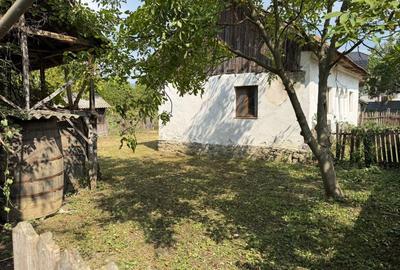 Casă cu 2 camere în Dăești