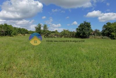 Teren Construcții intravilan de 5654 mp, în Dragomirești - 20