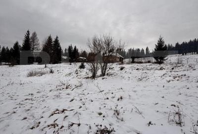 Teren de 10746 mp, în Fundu Moldovei - 3