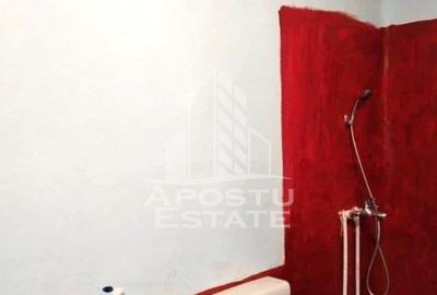 Casă individuală cu 5 camere cu Canalizare în Covăsinț - 7