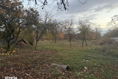 Casă cu 4 camere cu Teren 3850 Mp în Șagului