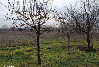 Teren de 4625 mp, în Frecăței - 1