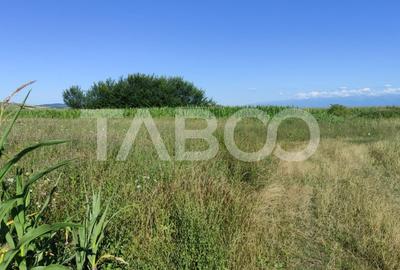 Teren agricol extravilan de 25920 mp, în Șura Mică - 3