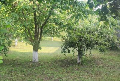 Casă cu Teren 1000 Mp în Ghirdoveni