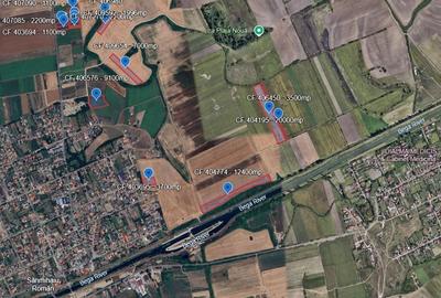 Teren de 10000 mp, în Sânmihaiu Român - 6