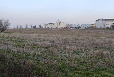 Teren de 3000 mp, în Berceni