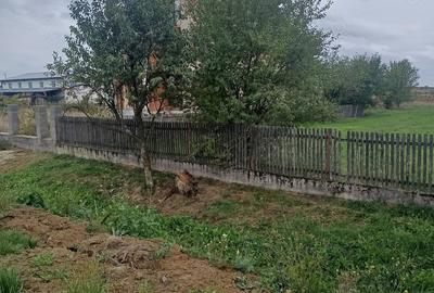Teren de 1330 mp, în Cionchești