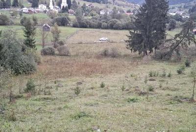 Teren de 6999 mp, în Panaci - 2