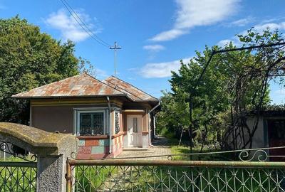 Casă cu 4 camere cu Teren 800 Mp în Ulmi - 5