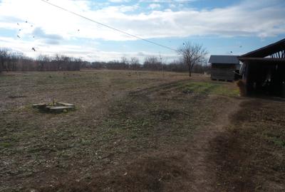 Teren Construcții intravilan de 7800 mp, în Vulturu - 5
