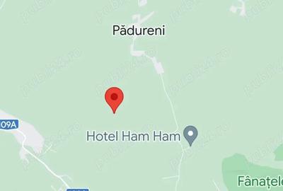 Teren în Pădureni (Chinteni) - 3