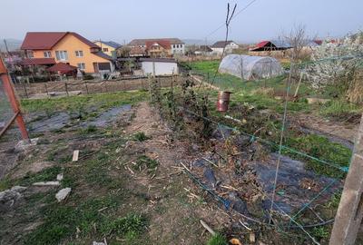 Casă cu 2 camere în Sânmărghita - 6
