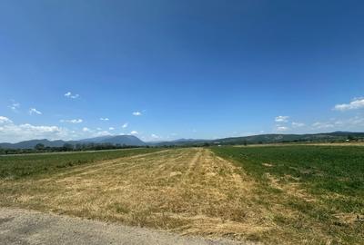 Teren de 5000 mp, în Râșnov Romacril - 2