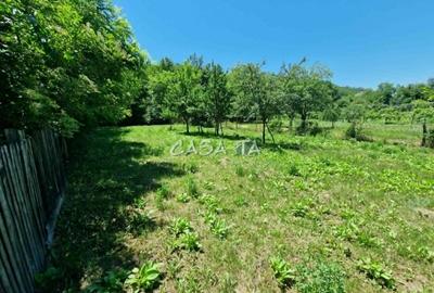 Casă individuală cu 3 camere cu Teren 913 Mp în Central - 14