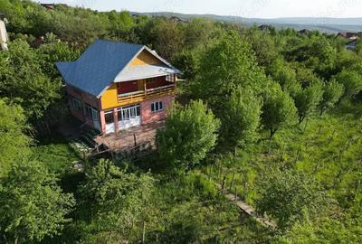 Casă cu 3 camere cu Teren 800 Mp în Bucium - 6