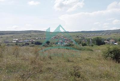 Teren agricol extravilan de 5000 mp, în Exterior Nord - 1