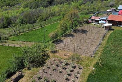 Casă cu 3 camere cu Teren 4381 Mp în Poduri - 7