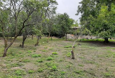 Teren de 1262 mp, în Bâsca Chiojdului