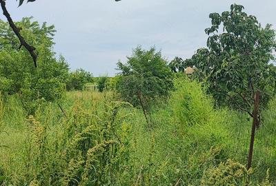 Casă cu 1 camere cu Teren 1630 Mp în Călugăreni (Conțești) - 4