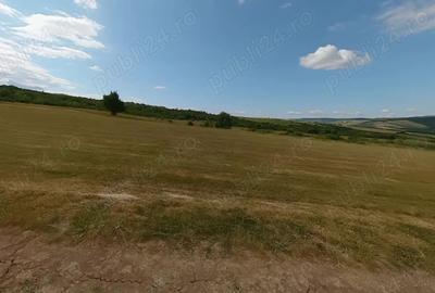Teren de 5700 mp, în Jibert