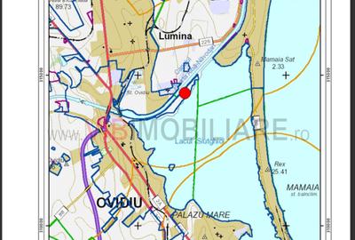 Teren intravilan de 135000 mp, în Vest - 3