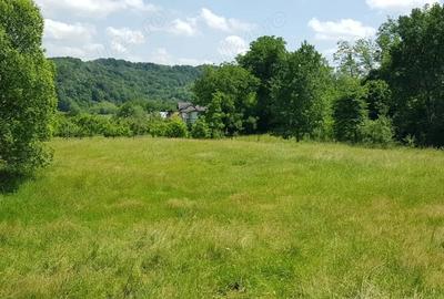 Teren de 29000 mp, în Valea Iașului - 1