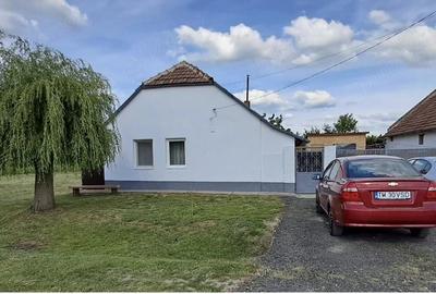 Casă cu Teren 1439 Mp în Banloc - 5
