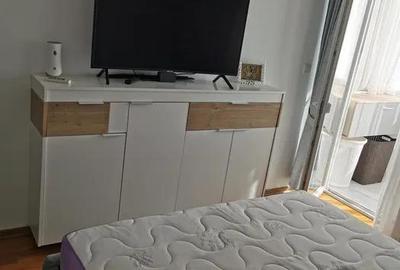 Apartament cu 3 camere decomandat în Valea Lupului - 6