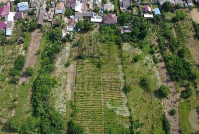 Casă individuală cu 6 camere cu Canalizare în Sascut - 3