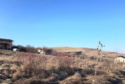 Teren Construcții intravilan de 602 mp, în Borhanci - 8