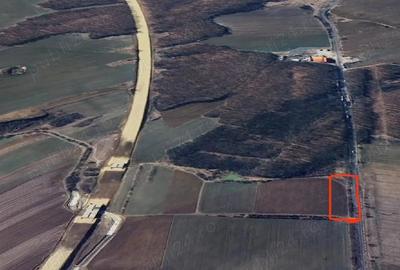 Teren de 9380 mp, în Cerbu - 6
