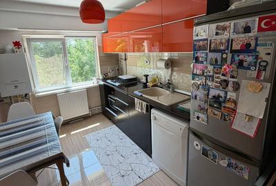Apartament cu 3 camere decomandat în Brotăcei