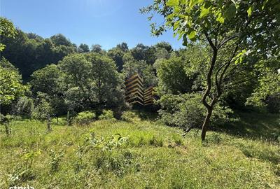 Casă cu 3 camere în Ciupercenii Noi - 5