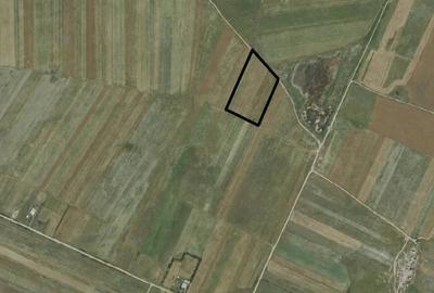 Teren de 18000 mp, în Periș