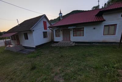 Casă individuală cu 4 camere cu Teren 8700 Mp în Băița - 9