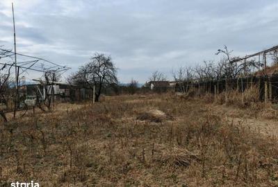 Teren de 1660 mp, în Letea Veche - 15