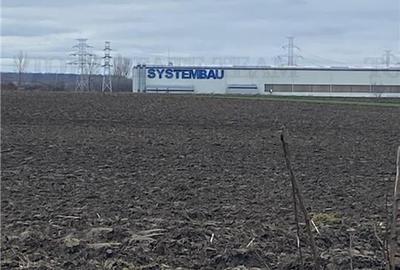 Teren agricol extravilan de 10000 mp, în Berceni - 3