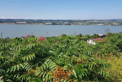Teren de 1800 mp, în Schela - 7