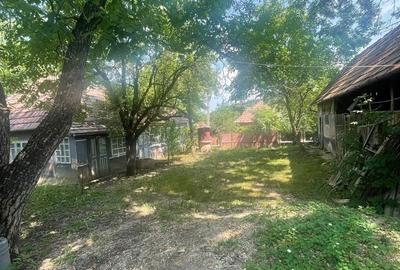 Casă cu 2 camere în Silivașu de Câmpie - 6