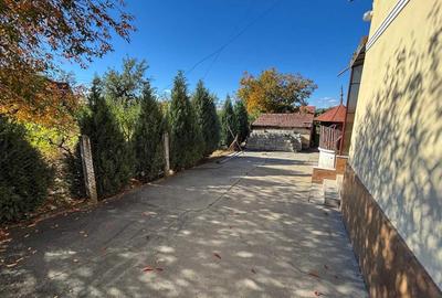 Casă cu 3 camere în Cuvin - 8
