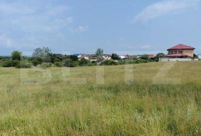 Teren agricol extravilan de 1900 mp, în Priseaca