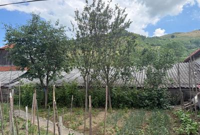 Casă cu 3 camere în Morlaca - 4